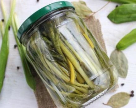 9 recetas paso a paso para hacer ajo silvestre en escabeche para el invierno en casa