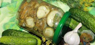 Ang pinakamahusay na mga recipe para sa mga adobo na mga pipino na may bawang para sa taglamig at ang kanilang imbakan