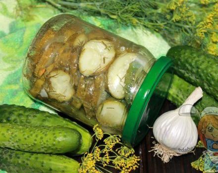 Ang pinakamahusay na mga recipe para sa mga adobo na mga pipino na may bawang para sa taglamig at ang kanilang imbakan