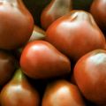 Características y descripción de la variedad de tomate Pera negra