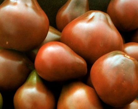 Caractéristiques et description de la variété de tomate Poire noire