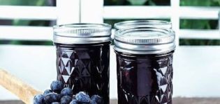 A simple recipe for making blueberry compote for the winter