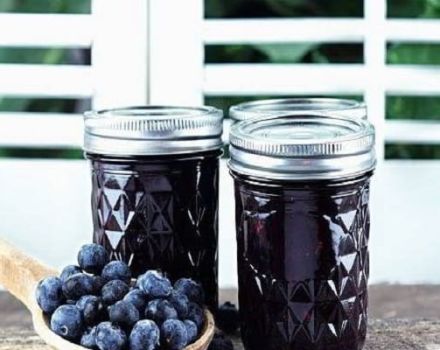 A simple recipe for making blueberry compote for the winter