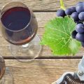 6 recetas paso a paso sobre cómo hacer vino con uvas Isabella en casa