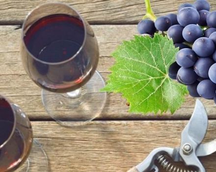 6 recetas paso a paso sobre cómo hacer vino con uvas Isabella en casa