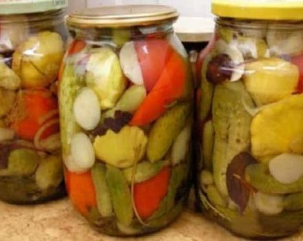 How to cook a vegetable garden in a jar with tomatoes, cabbage, peppers and carrots without sterilization for the winter