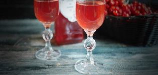 9 simple recipes for making wine from viburnum at home