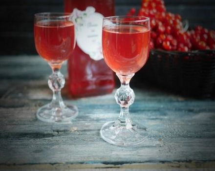 9 simple recipes for making wine from viburnum at home