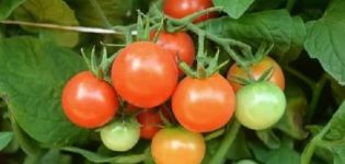 Collection of seeds of rare varieties of tomatoes from Valentina Redko for 2020