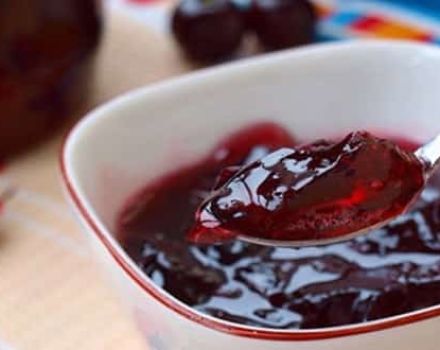 Recettes simples pour faire de la confiture de cerises pour l'hiver