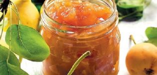 A simple recipe for pear and orange jam for the winter