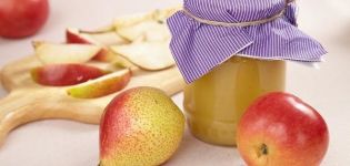 TOP 2 délicieuses recettes pour faire de la confiture de pommes et de poires pour l'hiver