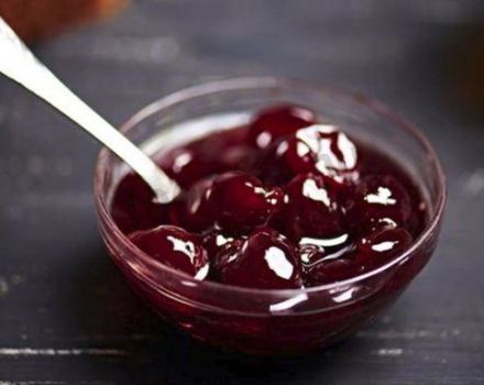 Recipes for making thick cherry jam with a bone five-minute