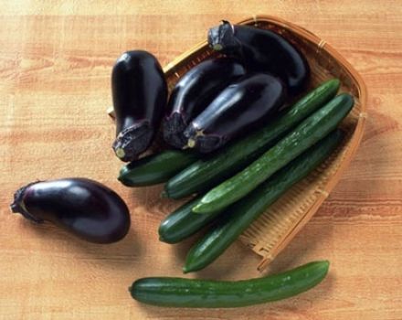 Cultiver et entretenir des aubergines dans la même serre avec des concombres, est-ce possible