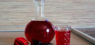 A simple recipe for making red and black currant wine at home