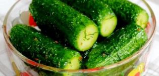 Simple step-by-step recipes for salted cucumbers and tomatoes for the winter