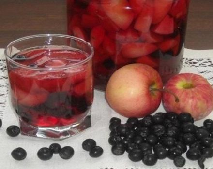 9 mejores recetas para hacer jugo de ranetki para el invierno