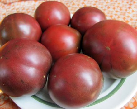 Characteristics and description of the most delicious varieties of black tomatoes