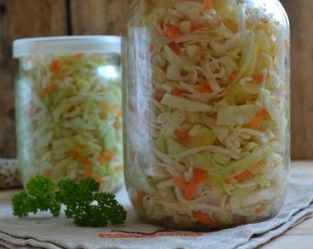 TOP 12 recipes with step-by-step cooking of early cabbage in jars for the winter