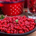 Kada možete sakupljati lingonberry i kako, kako napraviti uređaje vlastitim rukama