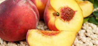 Health benefits and harms of peaches, composition, selection rules and properties