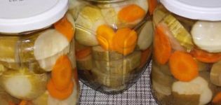 Une recette simple pour cuire des concombres avec des carottes et des oignons pour l'hiver