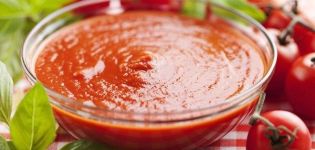 TOP 8 recipes for making tomato sauce with apples for the winter