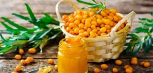 A simple recipe for making sea buckthorn jam for the winter