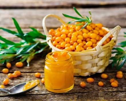 Ang isang simpleng recipe para sa paggawa ng sea buckthorn jam para sa taglamig