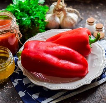 2 délicieuses recettes pour le lecho d'hiver avec du miel et le stockage de la pièce