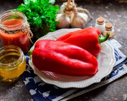 2 deliciosas recetas para el lecho de invierno con miel y almacenamiento de la pieza de trabajo