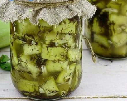 Krok za krokem recept na vaření cukety v oleji na zimu