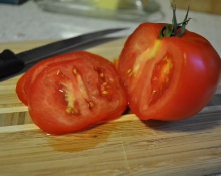 Caractéristiques et description de la variété de tomate President, son rendement et sa culture