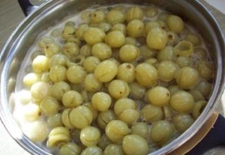 How best to keep gooseberries fresh for the winter