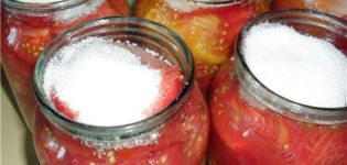 Recipes for quick salting of peeled tomatoes for the winter