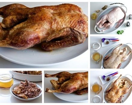 How to marinate duck and top 9 delicious recipes