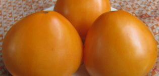 Ciri-ciri dan keterangan pelbagai tomato Golden Domes, hasilnya