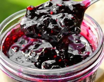 TOP 2 recipes for jam from irgi and black currant for the winter