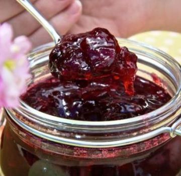 A simple recipe for plum and apple jam for the winter