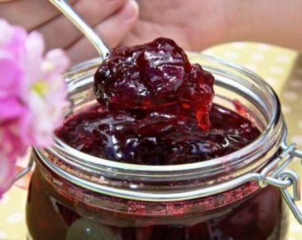 Une recette simple de confiture de prunes et de pommes pour l'hiver