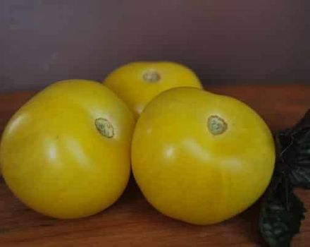 Description de la variété de tomate Boule jaune, caractéristiques de culture et d'entretien