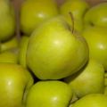 Description and varieties of Golden Delicious apples, cultivation and care rules