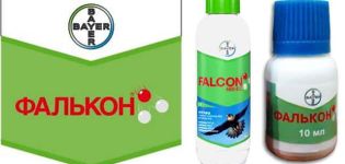 Instructions pour l'utilisation du fongicide Falcon pour les raisins et la durée