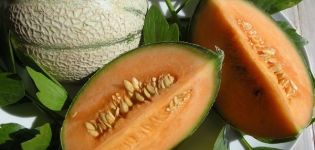 Why can melons have orange flesh inside, what kind of varieties are they?