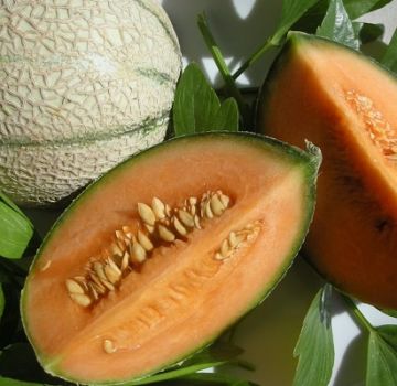 Pourquoi les melons peuvent-ils avoir de la chair orange à l'intérieur, de quel genre de variétés s'agit-il?