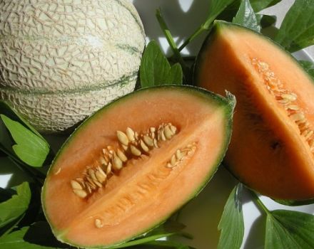 Pourquoi les melons peuvent-ils avoir de la chair orange à l'intérieur, de quel genre de variétés s'agit-il?