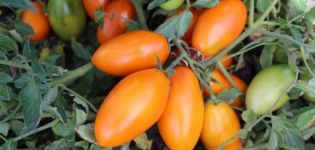 Características y descripción de la variedad de tomate Golden Stream, su rendimiento