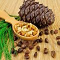 When can and how to collect pine cones correctly