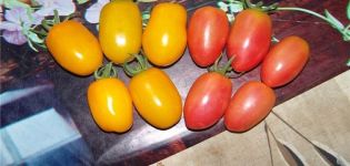 Characteristics and description of the tomato variety Honey Candy