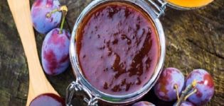 Blackthorn jam recipes for the winter with and without seeds